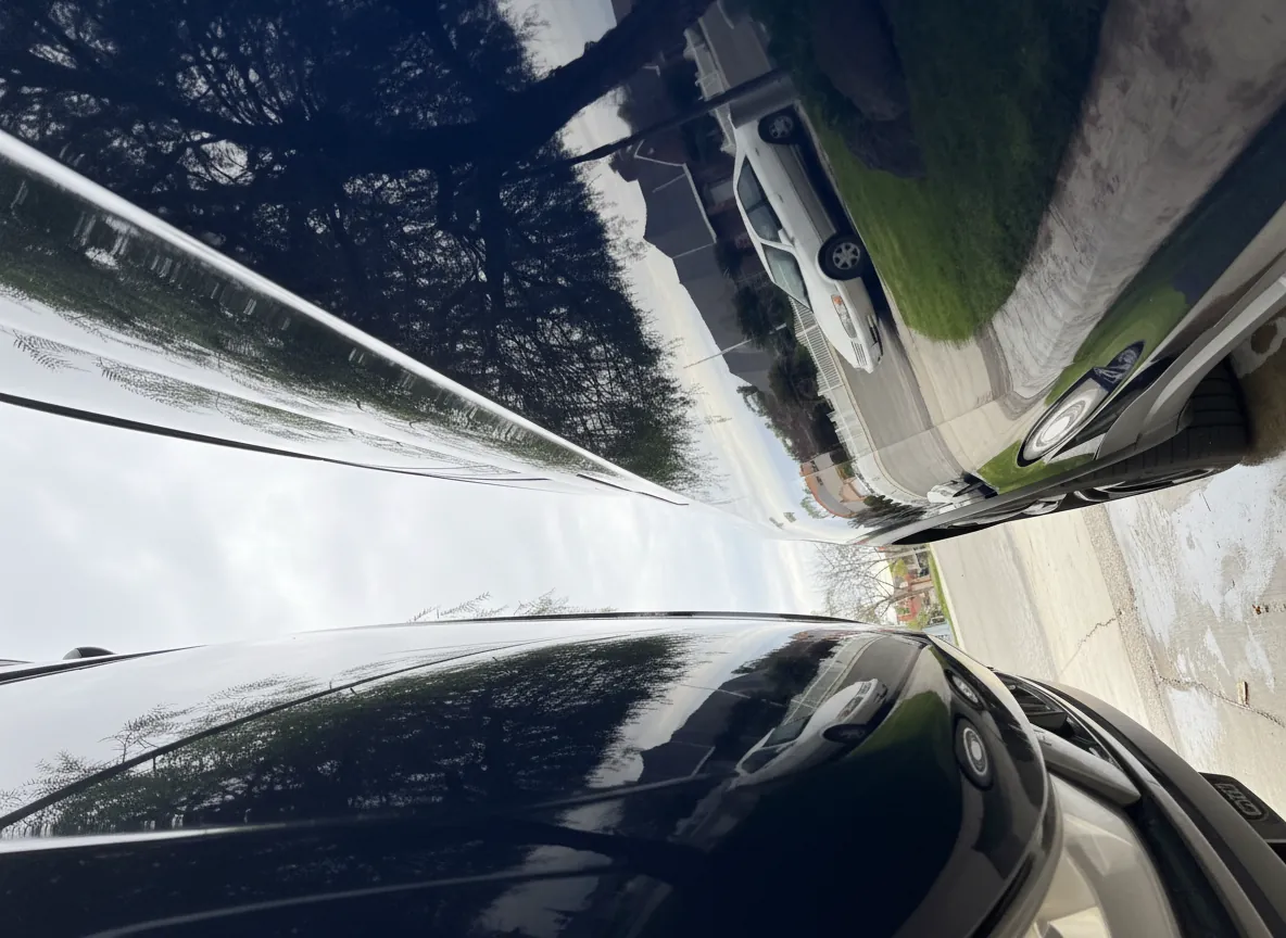 Detailing result